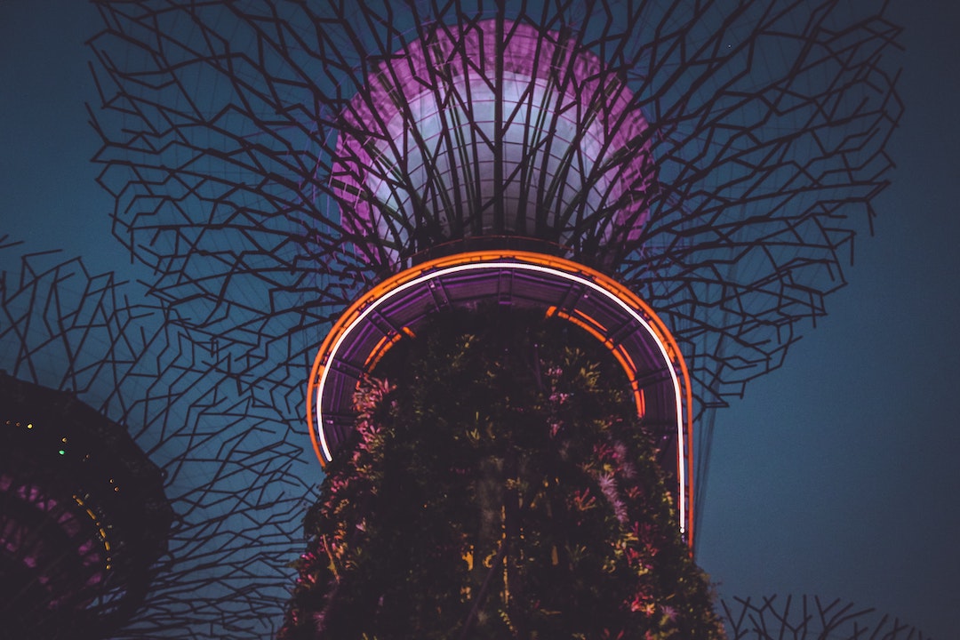 Things to Try Out In Singapore